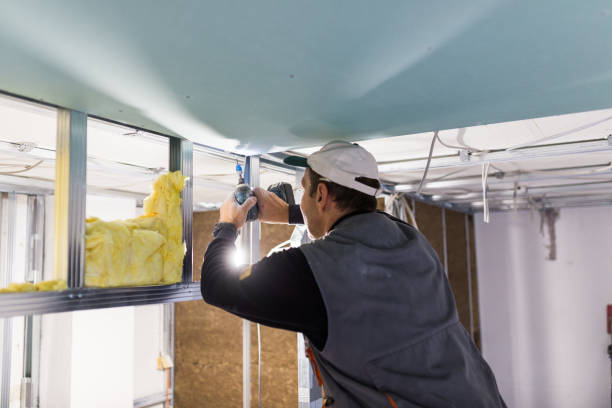 Best Local Insulation Services  in Mcnair, VA