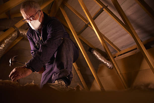 Best Crawl Space Insulation  in Mcnair, VA